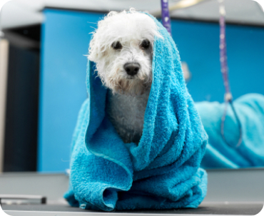 Bath service